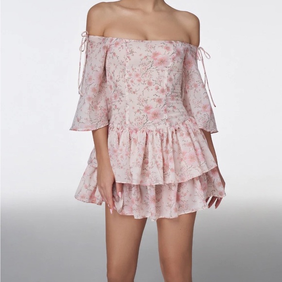 NWT ADEIRLINA Eleonora Mini Dress - Picture 3 of 6